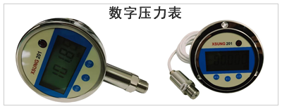 數(shù)字壓力表