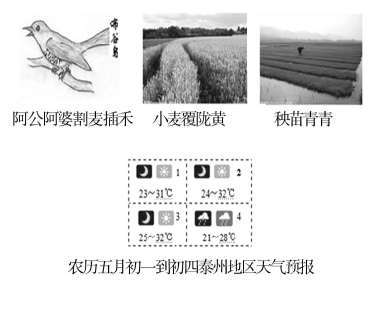 ���J(r��n)֪�S�Ȍ�ҕ�и߿��Z(y��)�����}