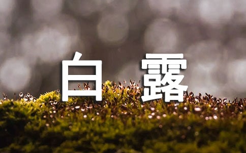 Pڰ¶Ψ330