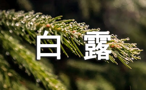 ¶Z
