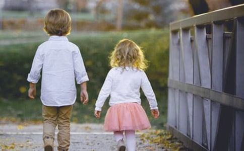 �ҵı�������(����15ƪ)