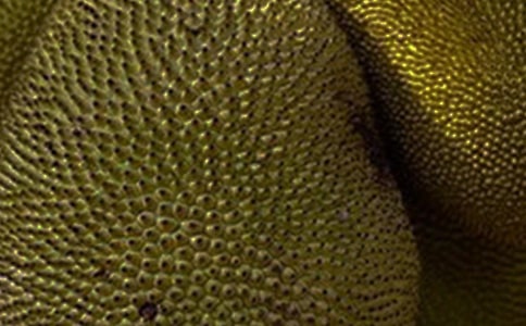 ���}�ۃ�������