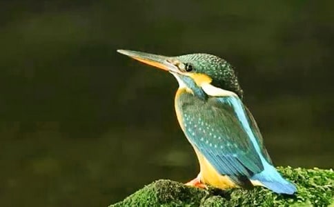 С�W�Z�ġ����B���̰�(8ƪ)