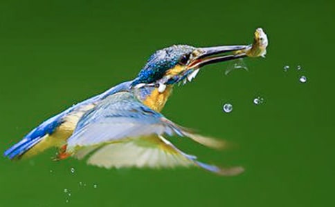 �����B�����ģ����x19ƪ��