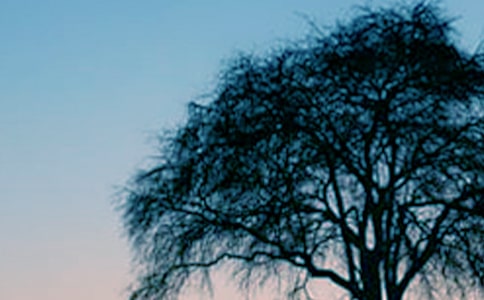 ľBʹģͨ20ƪ