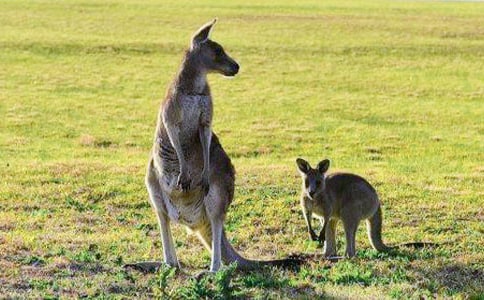 ���󌚌��\Ƥ�����w���̰�