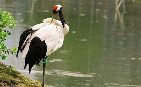 �������ĵ���Q�� �f��