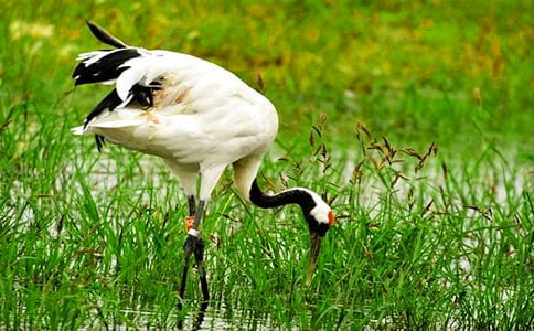 ����Q������