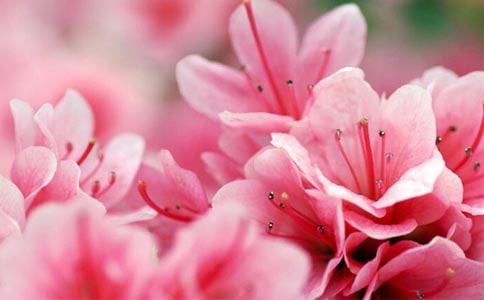 ���N������