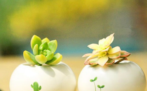 ���c�����⡱������