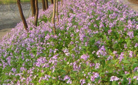 �����ϣ������m����