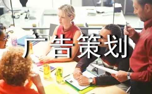 網(wǎng)絡(luò)廣告策劃書