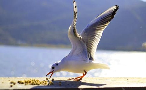 ���t����ӛ�����x19ƪ��