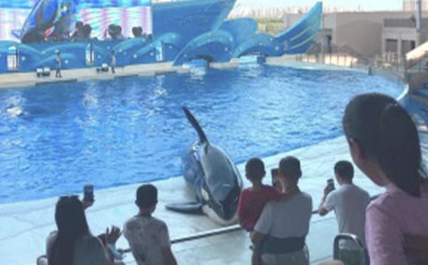 ���󹫈@֮������