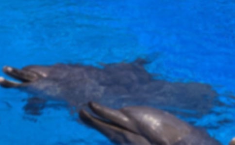 �P(gu��n)�ں��������