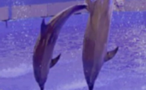 ���������(����15ƪ)