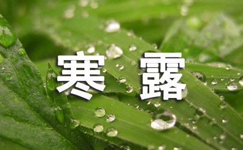 ¶(11ƪ)