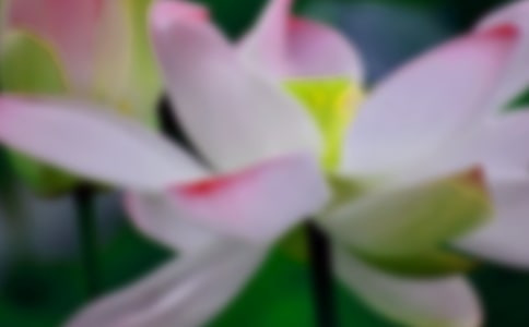 յĺɻ