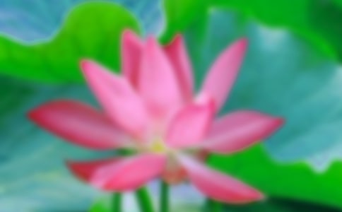 []ɻ(yu)15ƪ