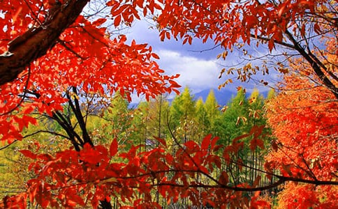 ��ɽ�t�~����