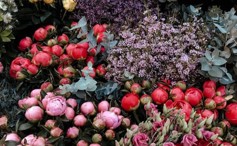 ���]�����ꄓ�IӋ����