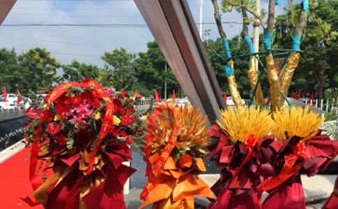 �����@����w���̰�