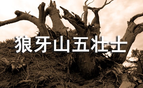 ɽʿ