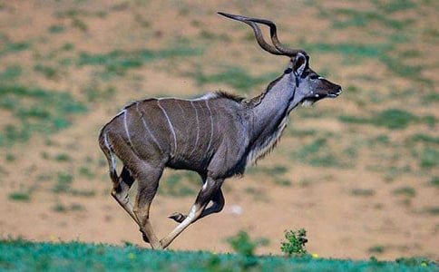 ������ĺ�����