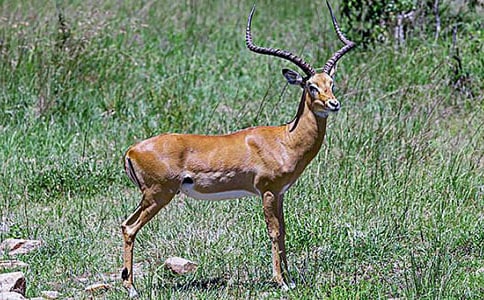 ����������14ƪ