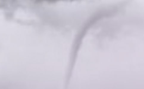 �����L(f��ng)����(�ϼ�15ƪ)