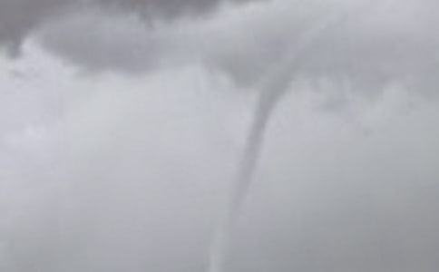 [����]�����L����