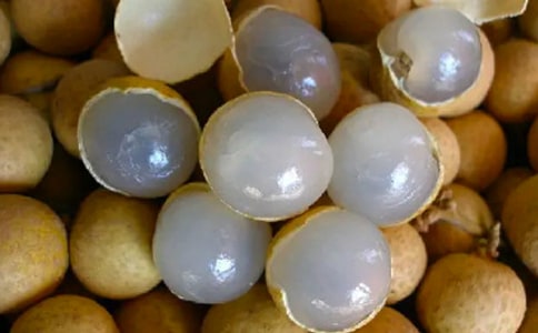 ���l���خa��������