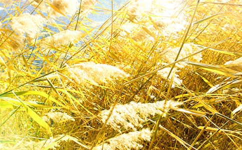 ��һ�����ѵĽ��JȔ���ģ�ͨ��10ƪ��