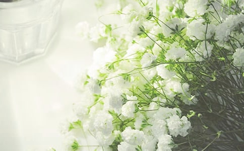 �M��������(ͨ��15ƪ)