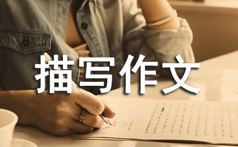 (ji)茑ķ