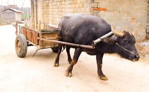 ţ܇�ϵĎ���