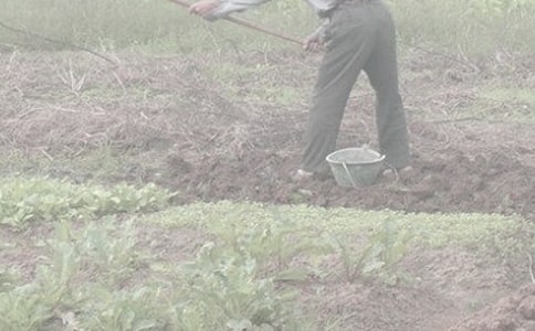 ���r������500�֣����x32ƪ��