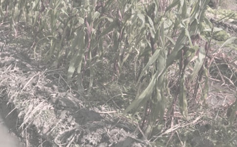 �r(n��ng)����N���A(y��)�s���a(ch��n)��ͬ7ƪ