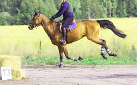 TR