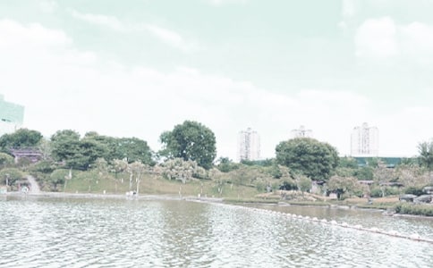 ǧLСWģx5ƪ