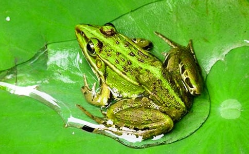 СWoܵ(])