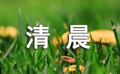峿15ƪ᡿