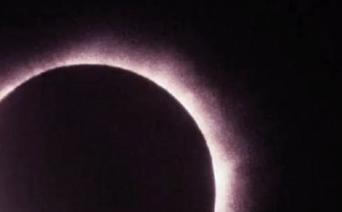 (���x)����ʳ����15ƪ