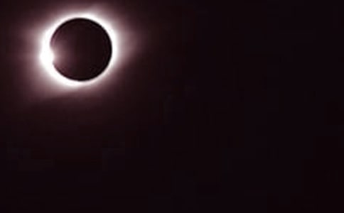 ��ʳС�W����