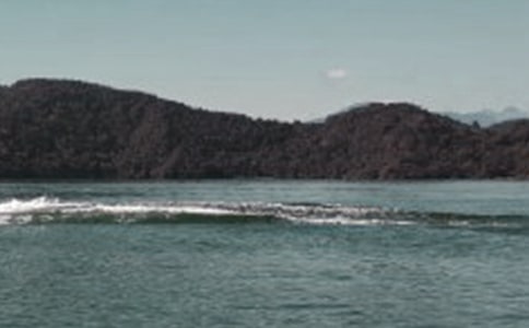 ����̶����