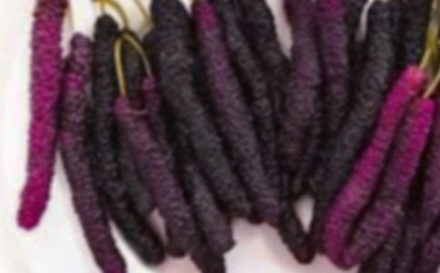 ժɣ������