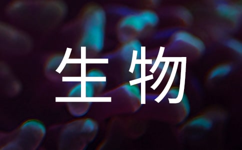 طԺУ﹤̌I`̌W̽