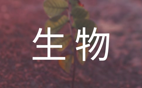 {(dio)棨x15ƪ