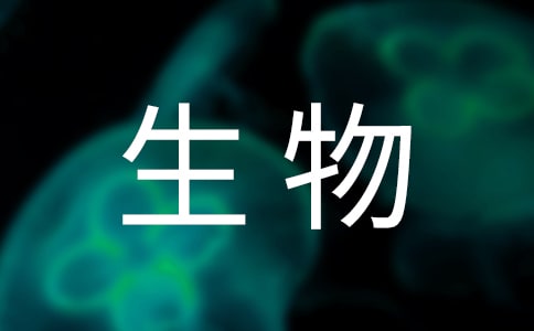 ̰OӋQ