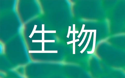 꼉﹤Y